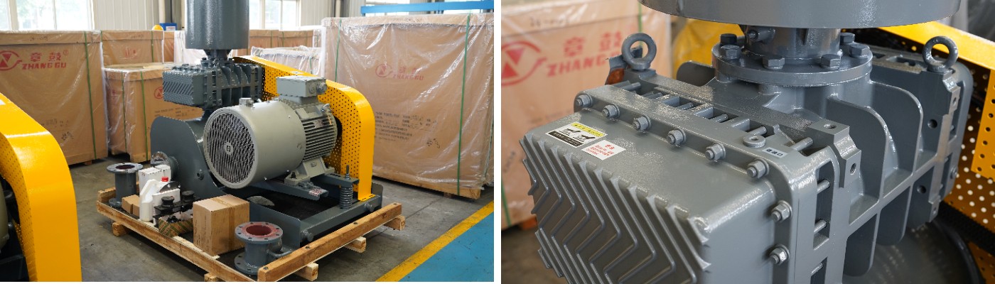 ZG Roots Blower ZG Рутс Воздуходувка