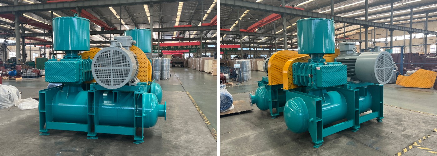 ZG Roots Blower ZG Roots Blower